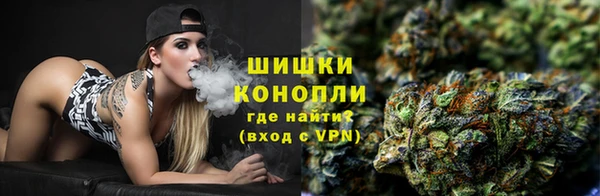 дурь Козельск