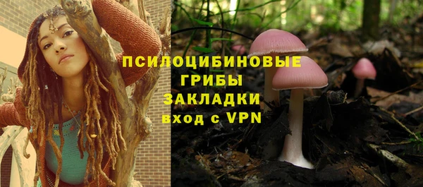 apvp Кинешма