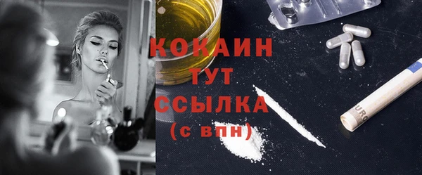 гидра Корсаков