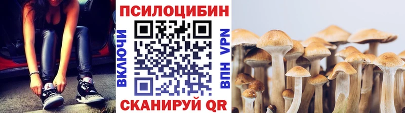 Галлюциногенные грибы Psilocybine cubensis  Кораблино 