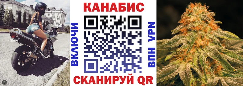 Конопля гибрид  Кораблино 